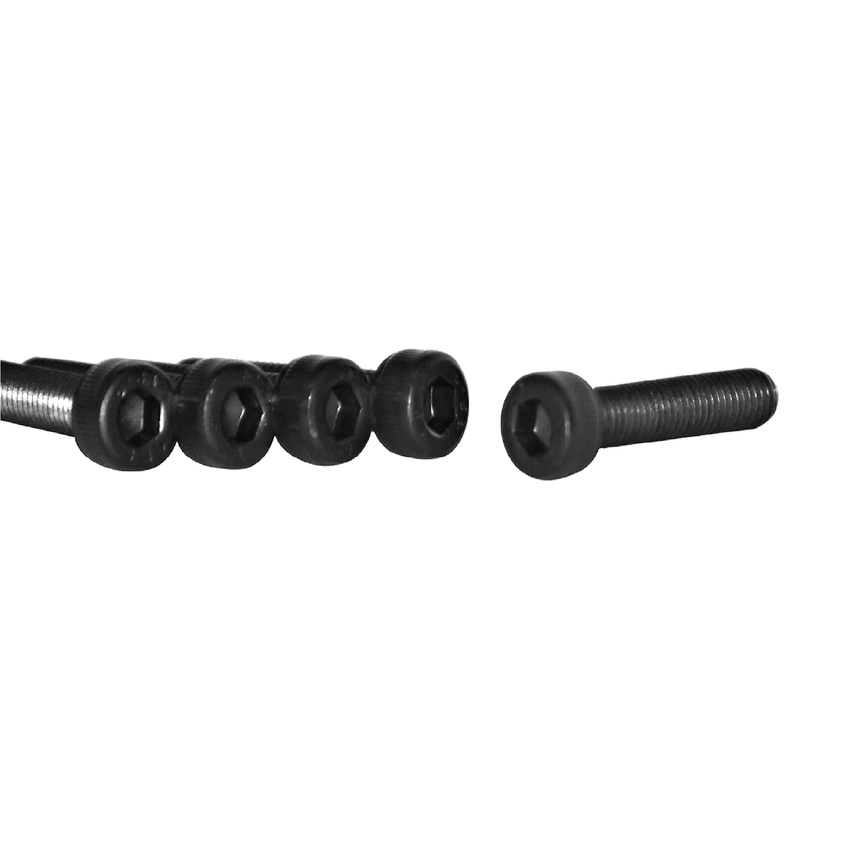 Arbortech Allsaw AS170 Housing Screw M5x25, Set of 25
