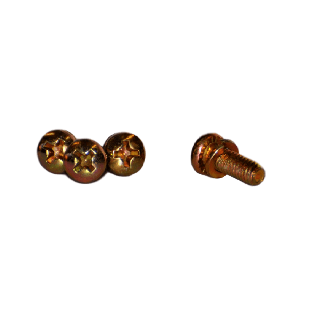 Arbortech Allsaw AS170 Screws for Belt Cover, Set of 4