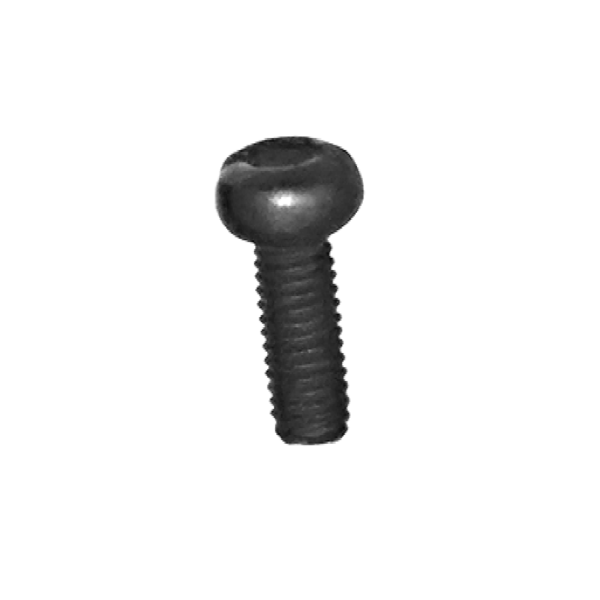 Arbortech Allsaw AS170 Brush Cover Retaining Screw